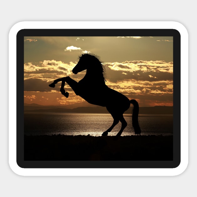 Beautiful Horse On The Beach Sticker by dyana123